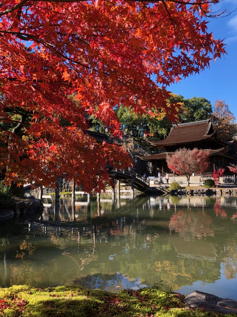 紅葉ドライブ