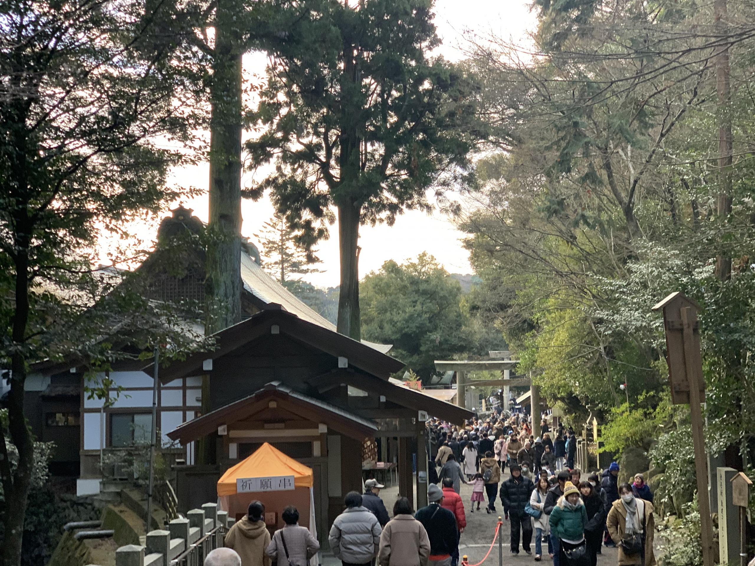 今年もよろしくお願いします