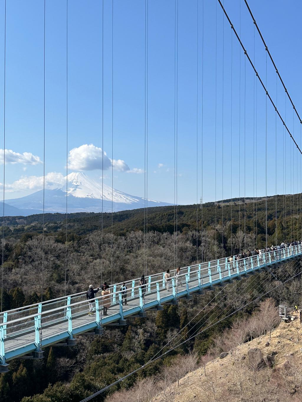 三島スカイウォーク！