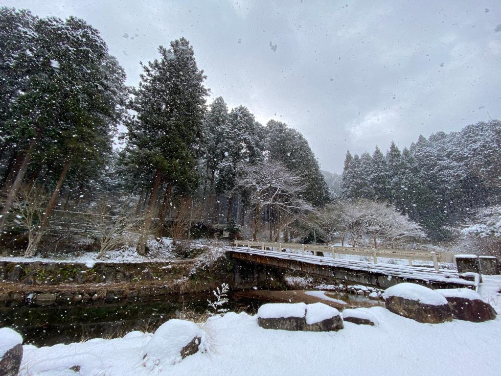 雪化粧